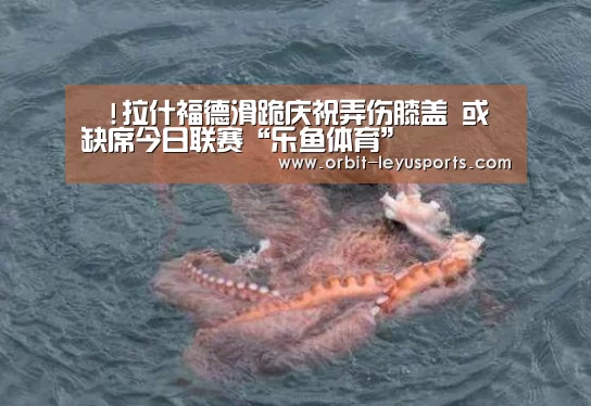 囧!拉什福德滑跪庆祝弄伤膝盖 或缺席今日联赛“乐鱼体育”(图2) 乐鱼体育