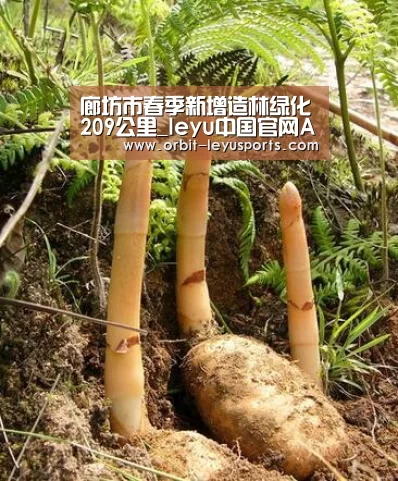 leyu中国官网APP