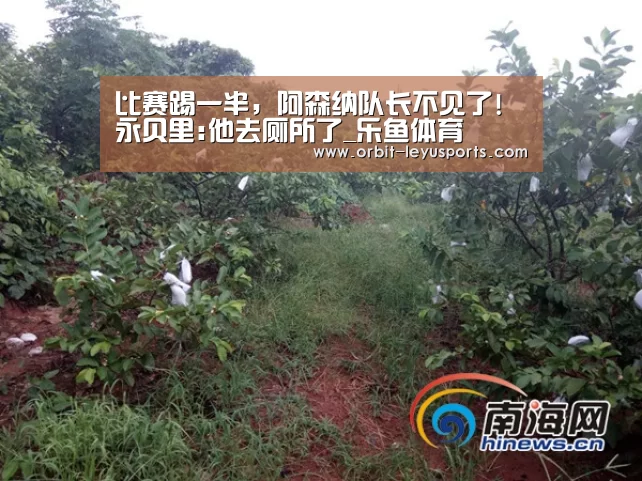 leyu中国官网APP